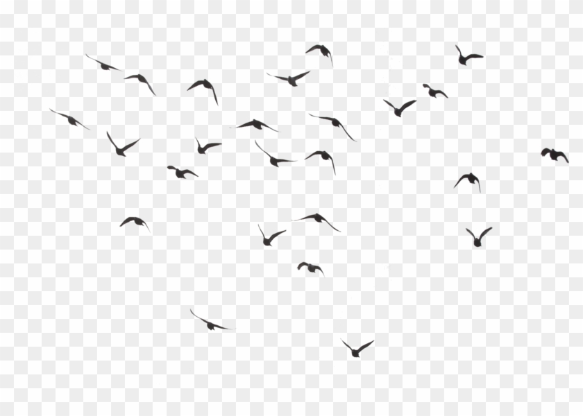 Flock 'o Birds Precut Png By Fictionchick - Bird Png #349315