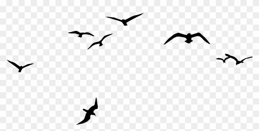 Bird Flock V Formation Clip Art - ياشين يومن يمر من دون #349342