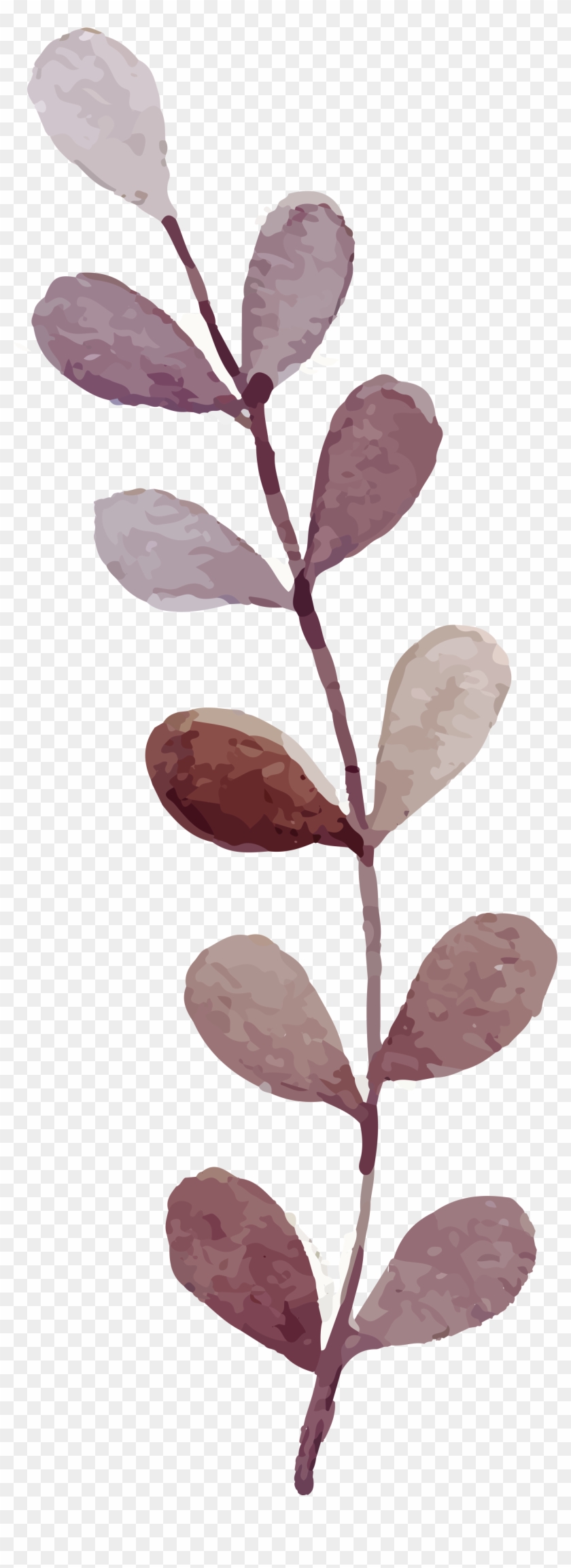 Flowers Watercolor Painting - Flowers Watercolor Painting #349566