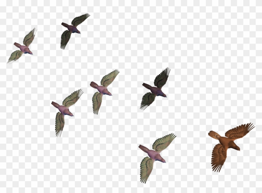 Flying Crows Png - Flock #349487
