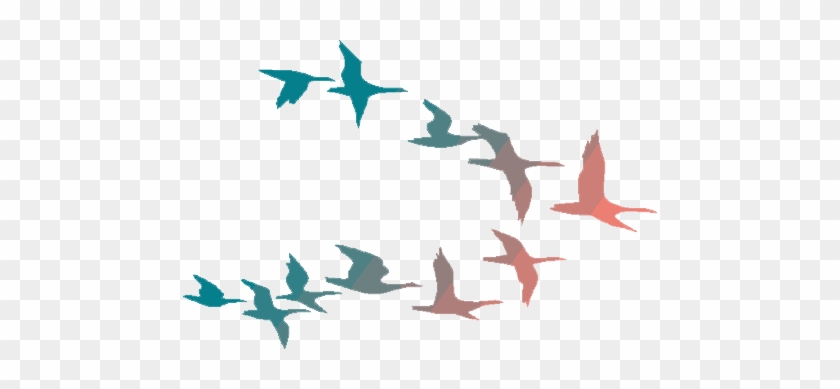 Flying Crows Png Flying Birds Png - Colorful Birds Flying Clipart #349502