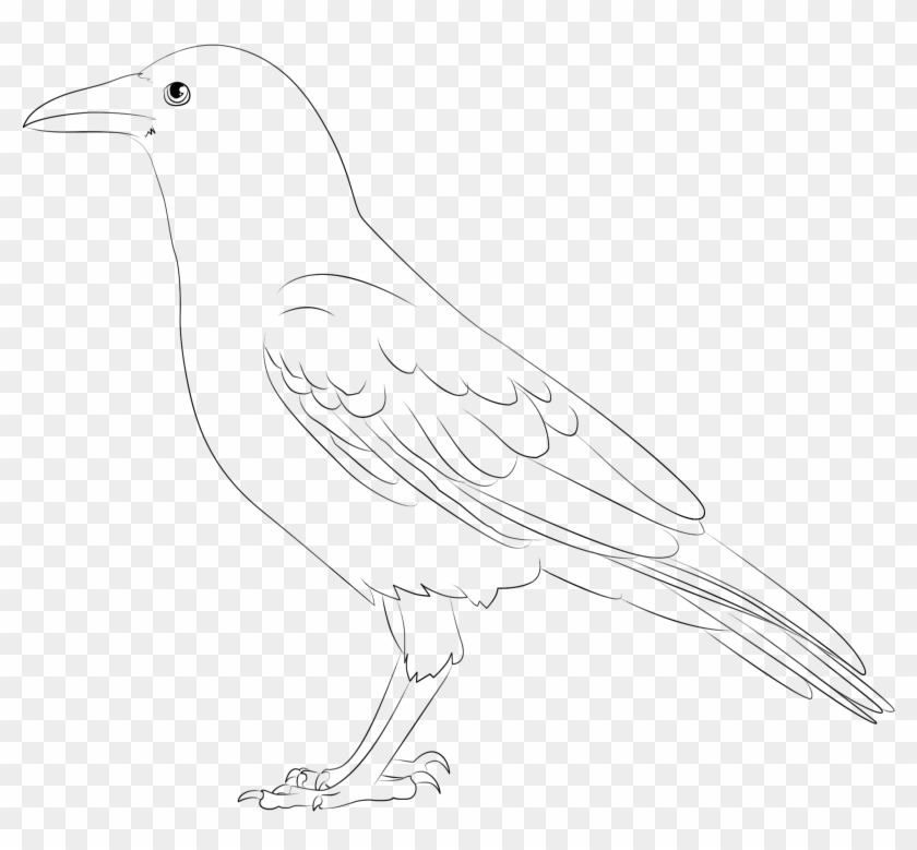 Crow Lineart Old By Mistygoldart On Deviantart - Sketch #349505