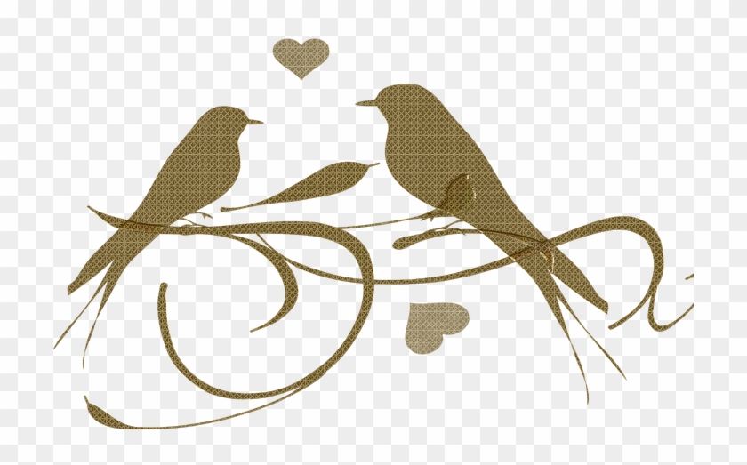 Bird Sparrow Animal Transparent Png Images Free Download - ! 5'x7'area Rug #349648