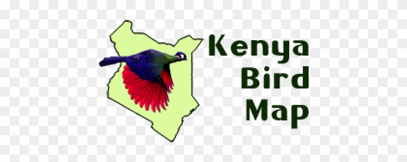 Kenya Bird Map Blog - Birdwatching #349655