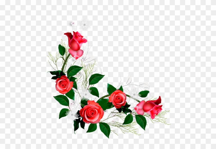 Featured image of post Wallpaper Rosas Vermelhas Png Encontre as melhores imagens profissionais gratuitas sobre rosas vermelhas
