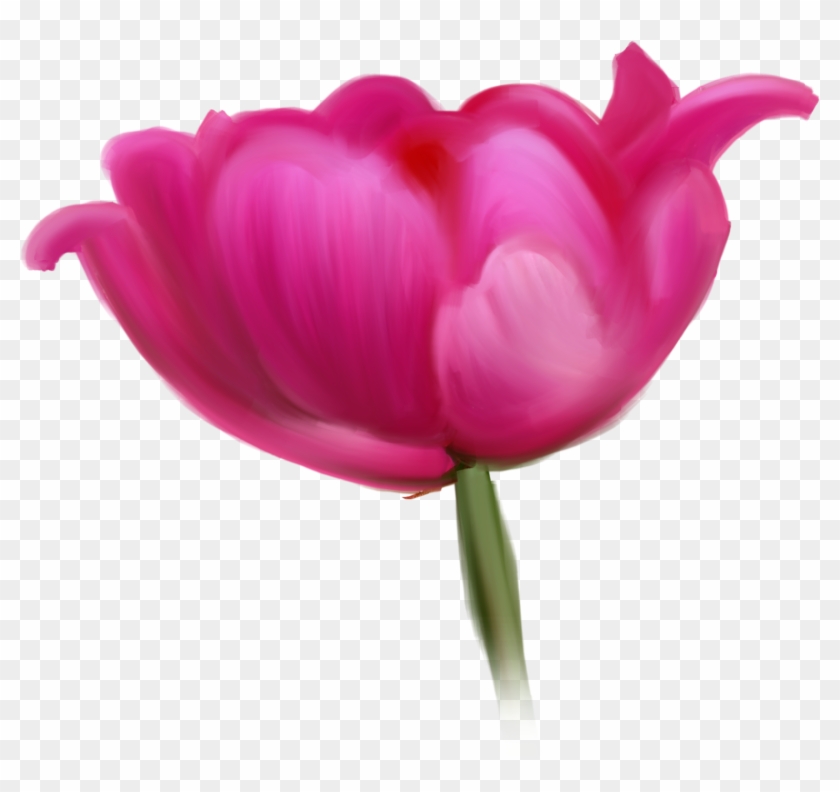 Tulip Cut Flowers Raster Graphics Clip Art - Tulip Cut Flowers Raster Graphics Clip Art #349923
