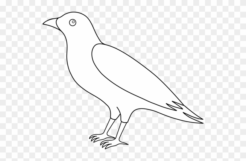 Crow Clip Art - Outline Image Of Crow #349916