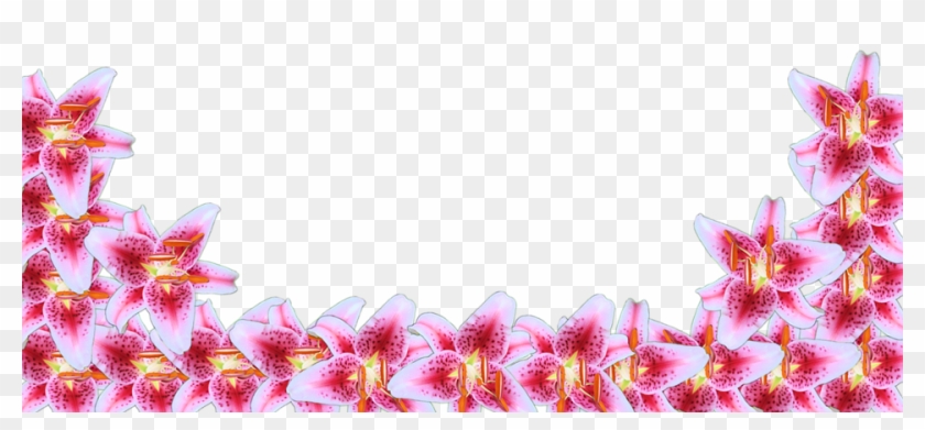 Flower Border Line 15, Buy Clip Art - Transparent Pink Flower Border #349938