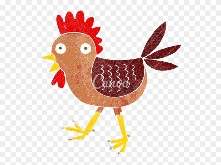 Funny Cartoon Chicken - Chicken #350020