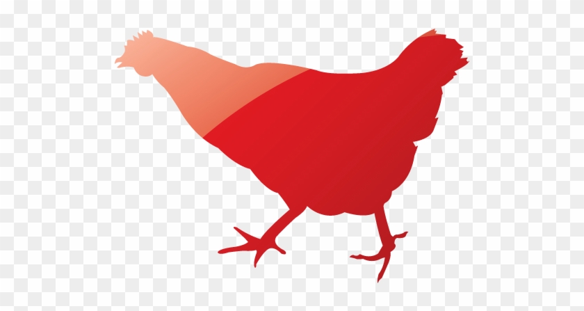 Web 2 Ruby Red Chicken 2 Icon - Chicken #350133