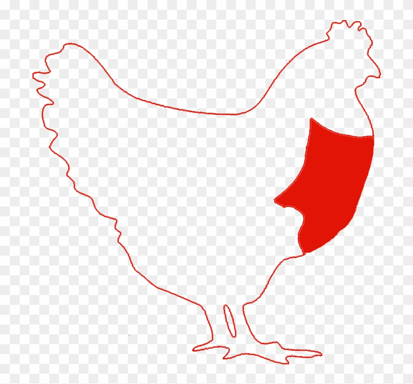 Chicken Breast - Chicken As Food #350178