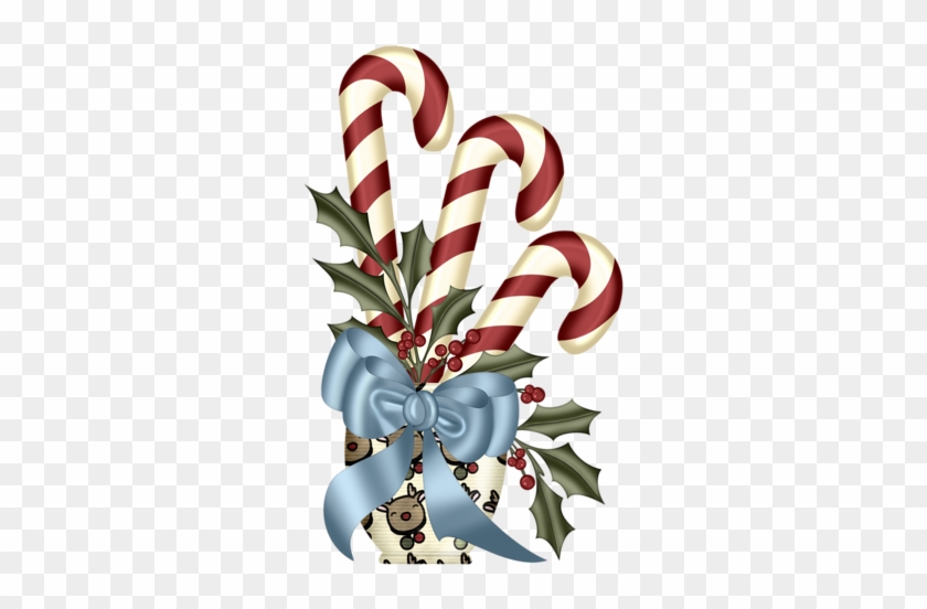 Pps Candy Cane Plant - Christmas Day #350252