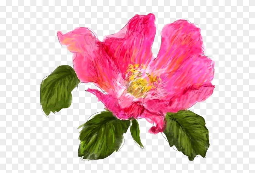 Japanese Camellia Icon - Japanese Camellia Icon #350466