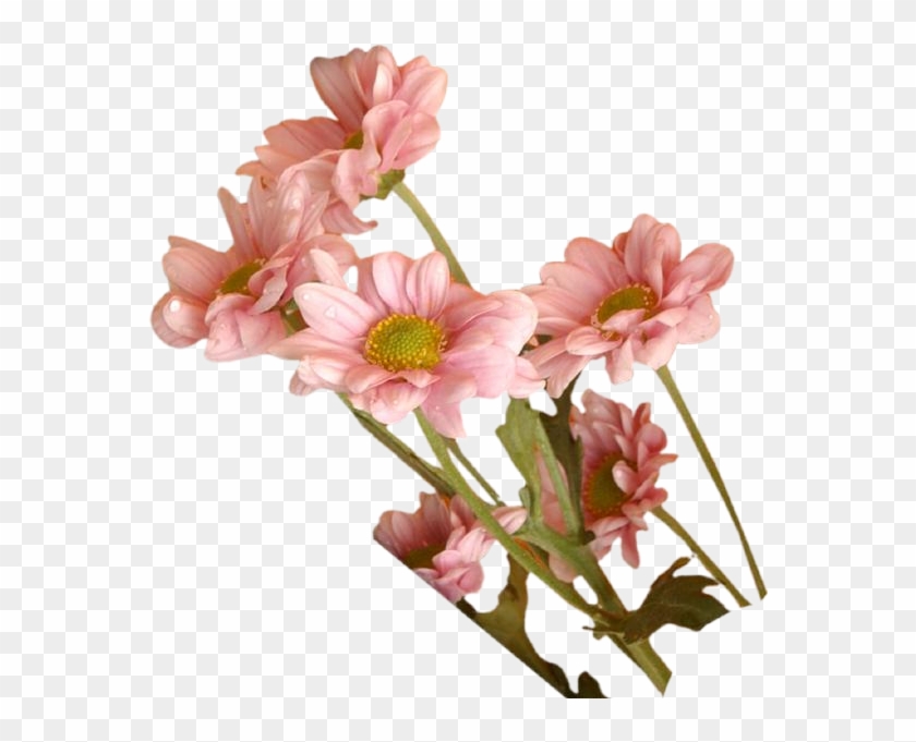 Now You Can Use Cliparts And Objects Direct In Psd - Artificial Flower #350279