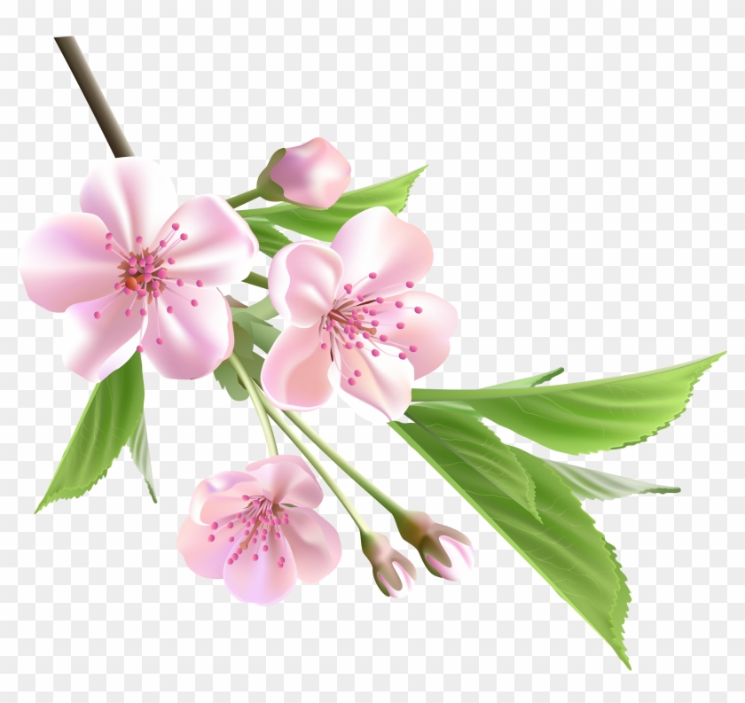 Flowering Branch Cliparts - Spring Flower Png #350308