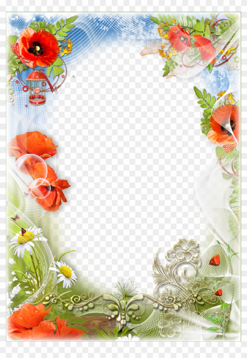 Transparent Png Frames - Transparent Png Frames #350648