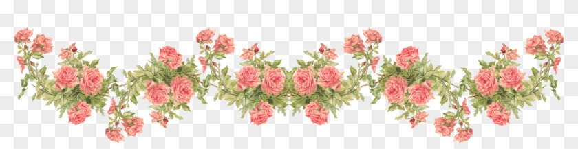 Catherine Klein Peach Roses - Rose Border Transparent Background #351027