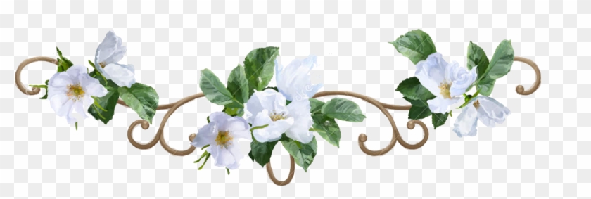 Watercolor Flower Border Decorative Painting White Flower