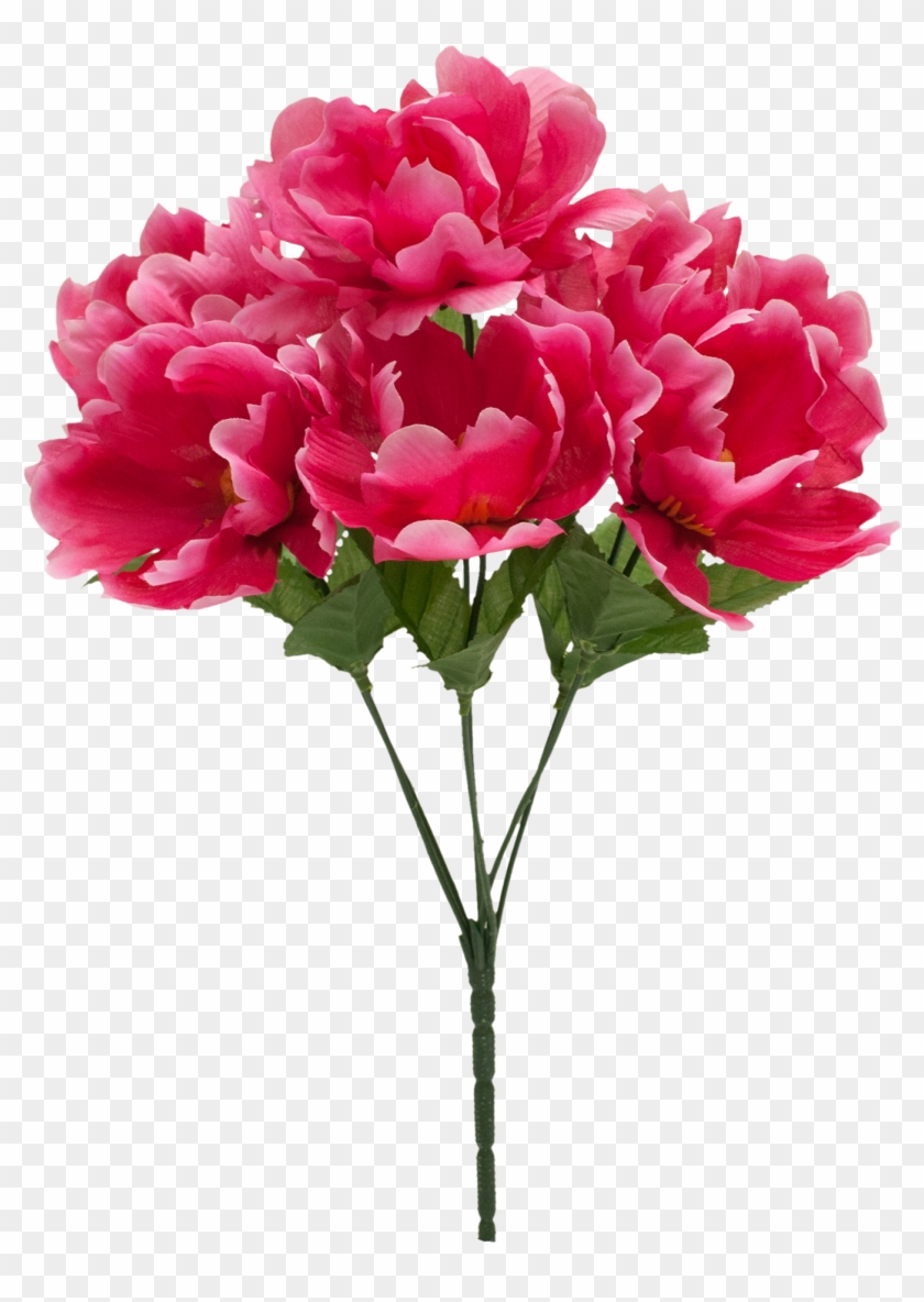 Teters Floral Pink Peony Pick #351383