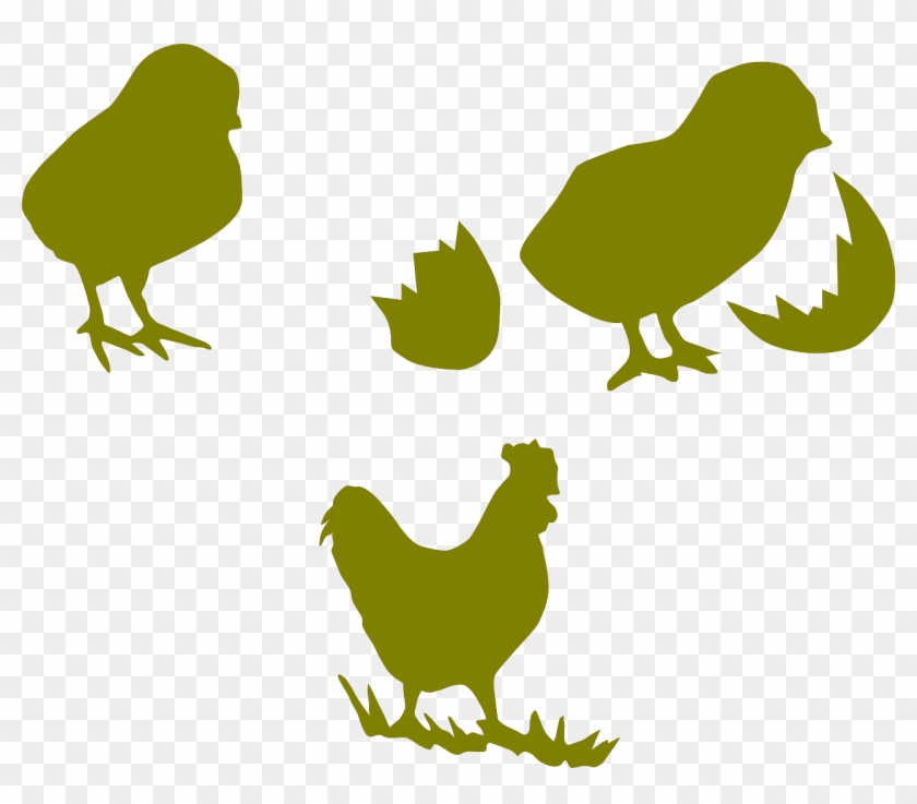 Chicken Cock Poultry Hen Png Image - Outline Chickens Clipart Png #351656