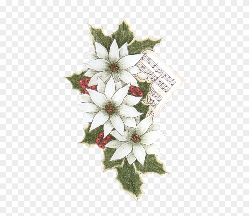 Christmas Clipart - Flannel Flower #351680