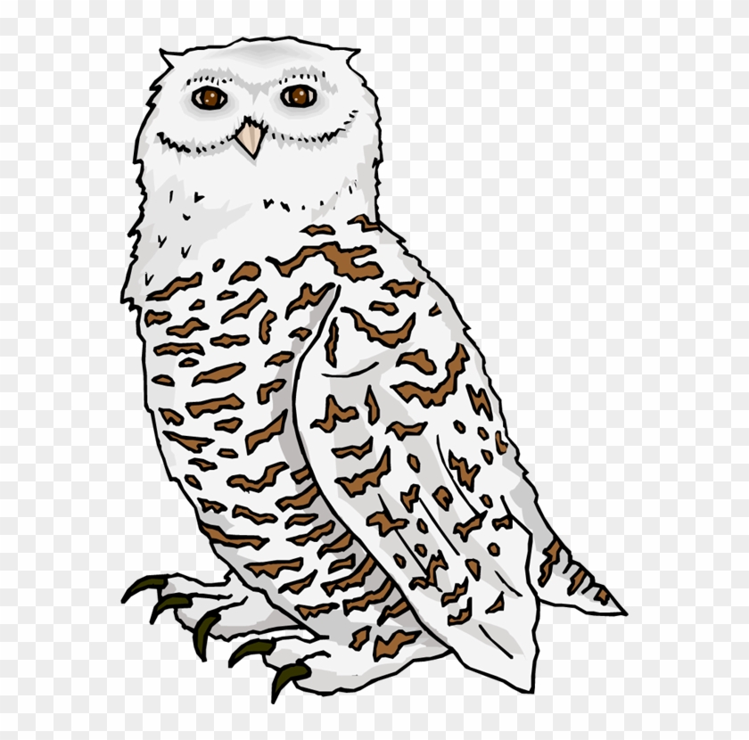 Owl Clipart - Snow Owl Coloring Page #351778
