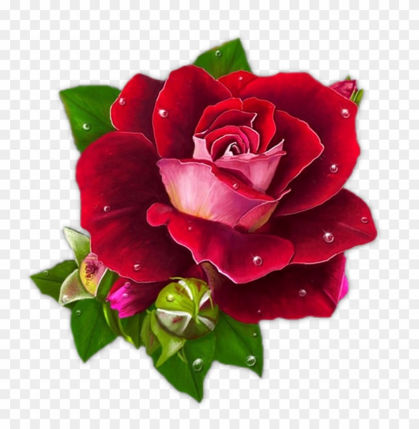 Flowers - Buongiorno Con Una Rosa #351785