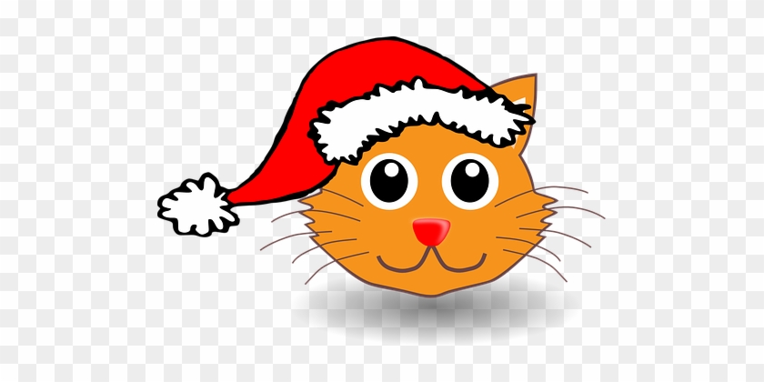 Cat, Happy, Animal, Christmas - Santa Cat Greeting Card #351829