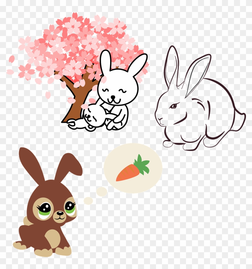 Rabbit Clip Art - Rabbit Clip Art #351925