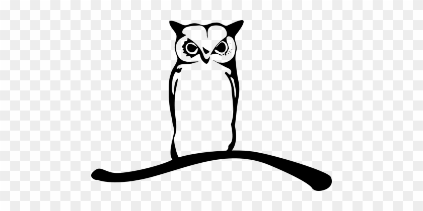 Owl Owlet Eagle Owl Animal Bird Twig Branc - Vector Burung Hantu #351880