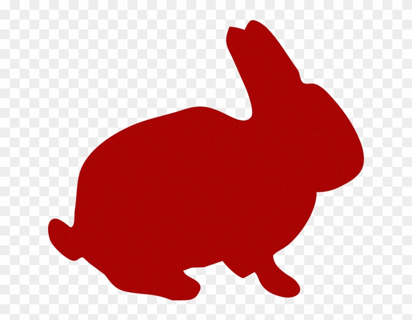 Bunny - Rabbit #351928
