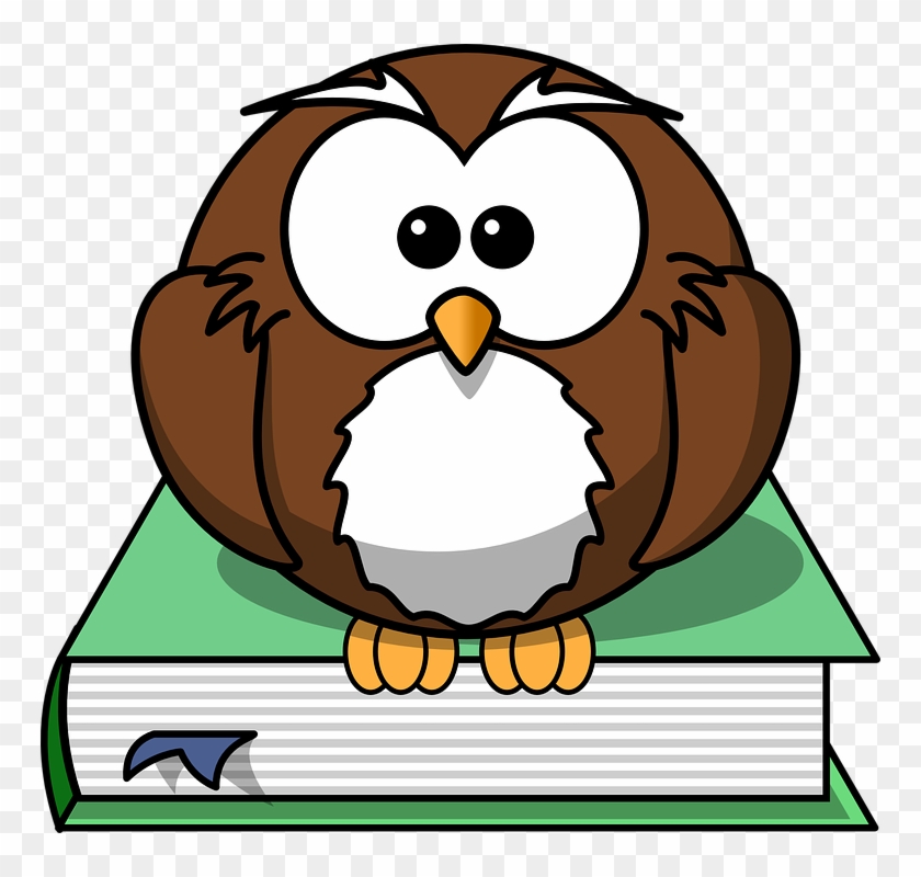 Stare Clipart Owl - Cartoon Owl #352084