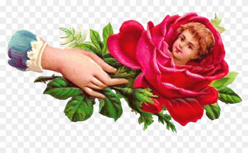Victorian Era Roses In A Bowl Flower Clip Art - Victorian Era Roses In A Bowl Flower Clip Art #352174