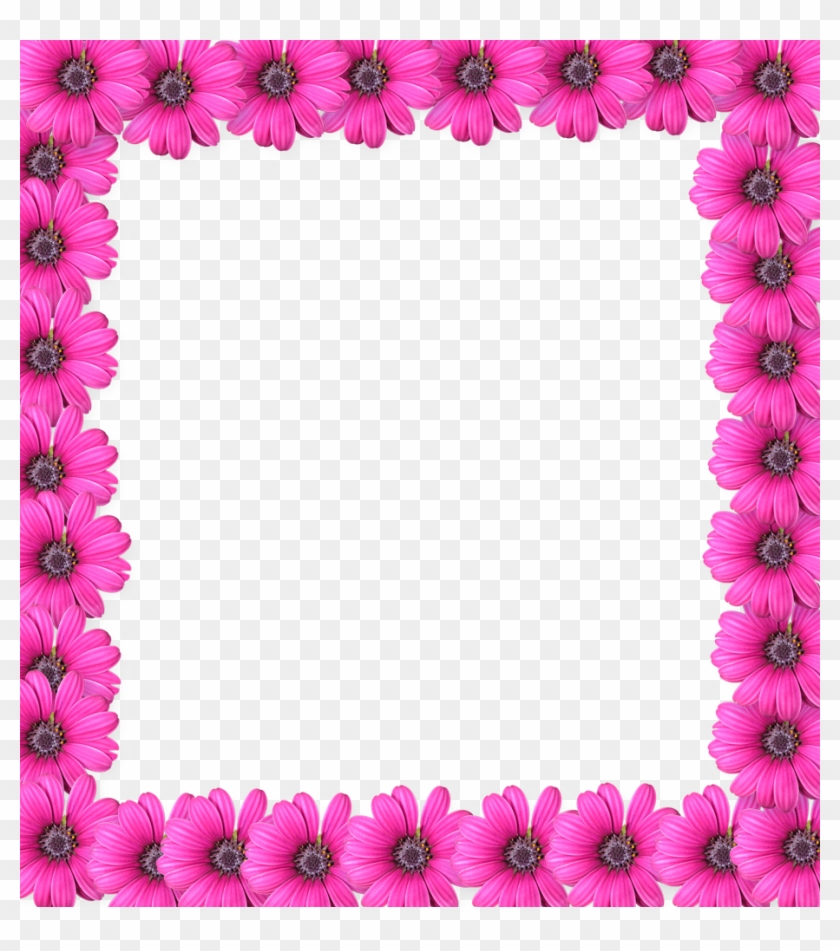 Pink Flower Frame Png - Dil To Sb Ke Pass Hota Hai Lekin Sab Dilwale Nahi Hote #352179
