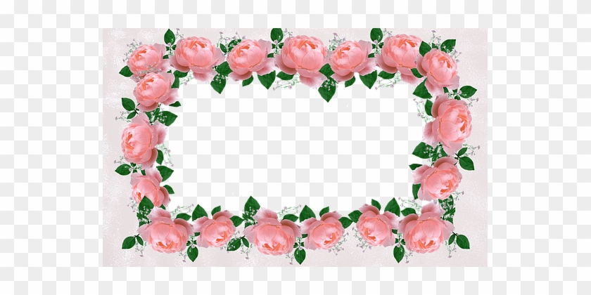 Frame, Border, Decorative, Floral, Roses - Flower Peach Frame Png #352203