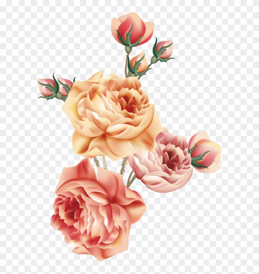 Garden Roses Centifolia Roses Napkin Victorian Era - Beautiful Victorian Roses Throw Blanket #352214