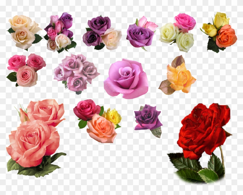 Rose Png - Deviantart Png Roses #352239