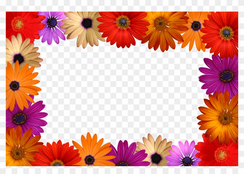 Sample Files - Flower Frameimages #352244