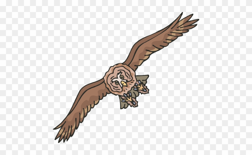 Owl - Flying Owl Clip Art #352376