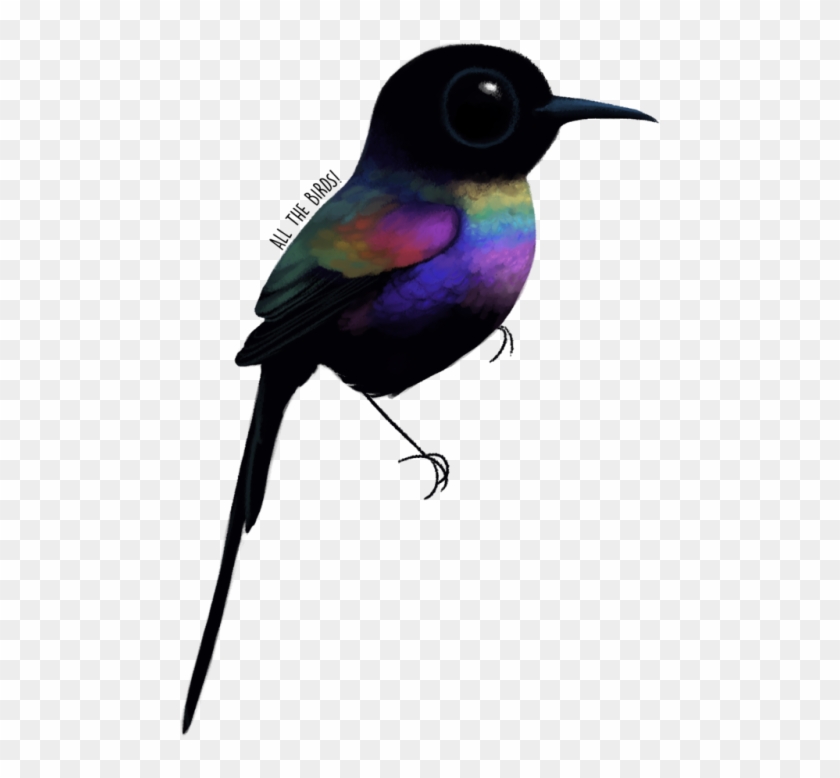 Hummingbird Clipart Outline Colorful - Hummingbird #352459