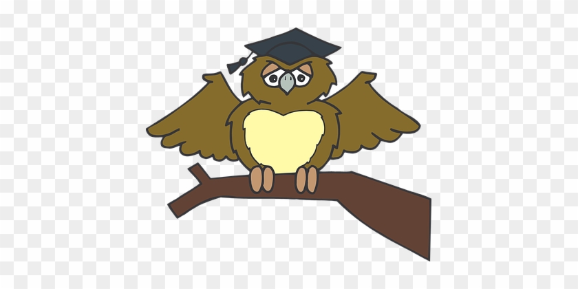 Owl Graduate Sitting Tree Branch Brown Wea - Owl Graduation Clip Art Png #352482