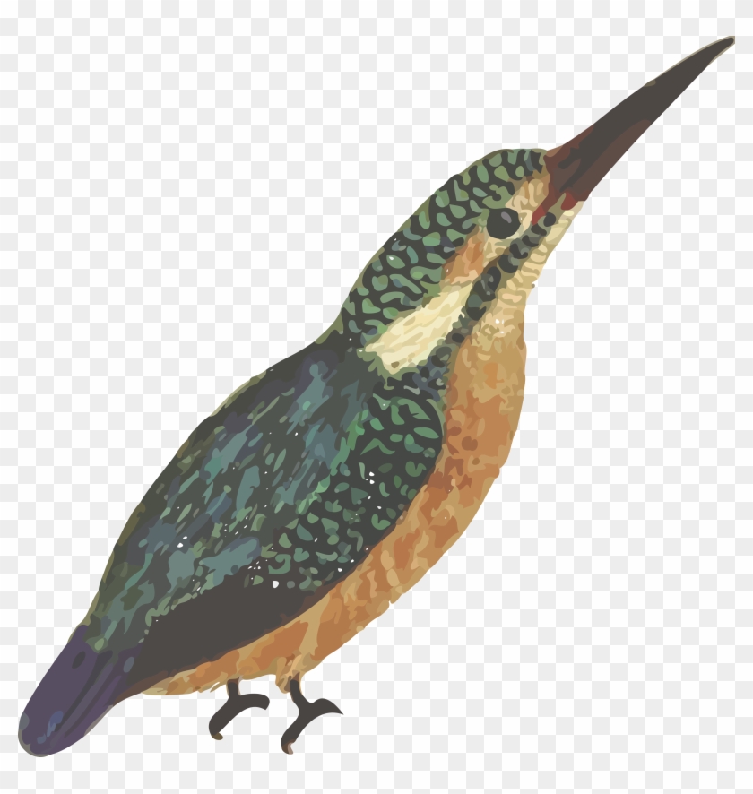 Free Clipart Of A Kingfisher Bird - Posterazzi Common Kingfisher, Alcedo Ispida, Alcedo #352542