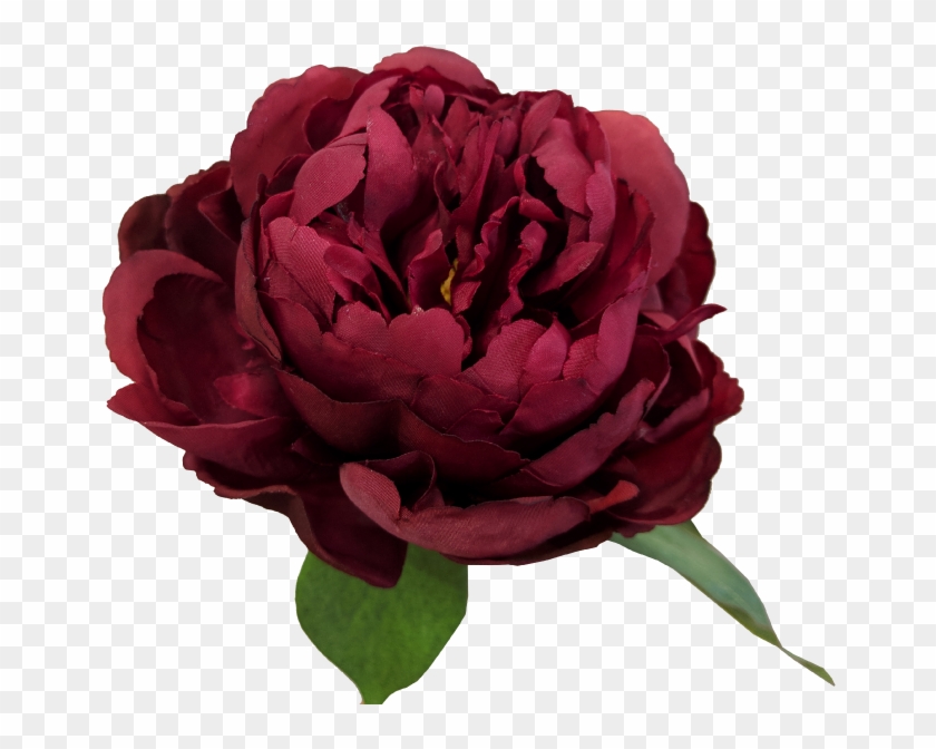 33cm Peony - Garden Roses #352606