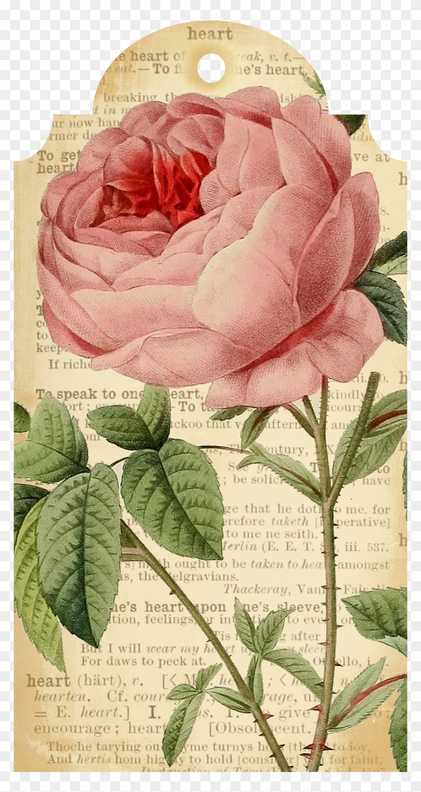 Callmevictorian Free Flower Printable Tags - Amadeus Georg Philipp Telemann Kleine Kammermusik Vlnrec #352635