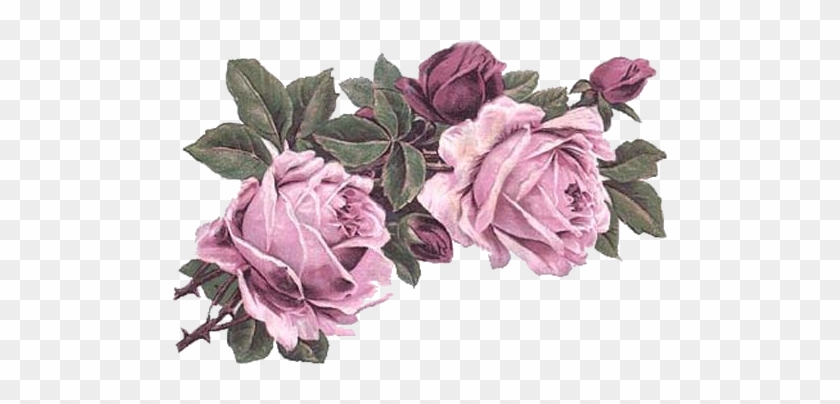 Rose Art, Vintage Flowers, Victorian Flowers, Rose - Vintage Pastel Flower Png #352637