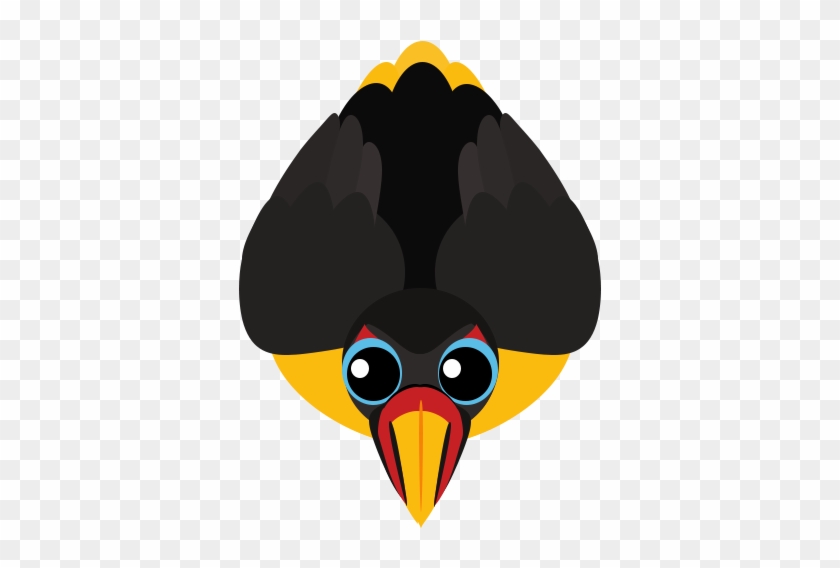 Toucan Bird With 5 Species - Toucan #352827