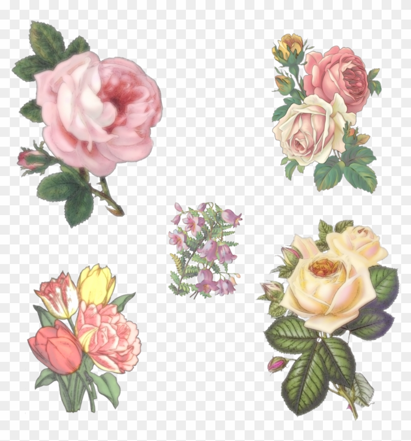 5 Vintage Flowers By Victorian-lady - Elegant Rose Throw Blanket #352875