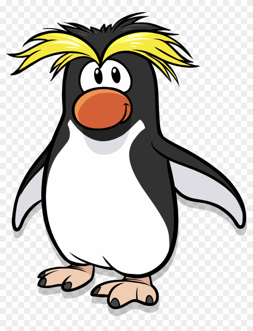 Rockhopper Penguin - Club Penguin Rockhopper Penguin #352950