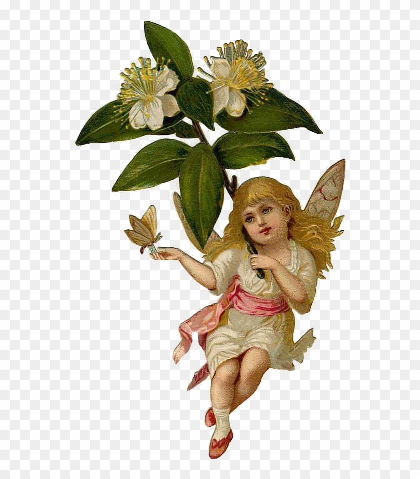 Victorian Flower Fairy - Victorian Flower Fairies #353409