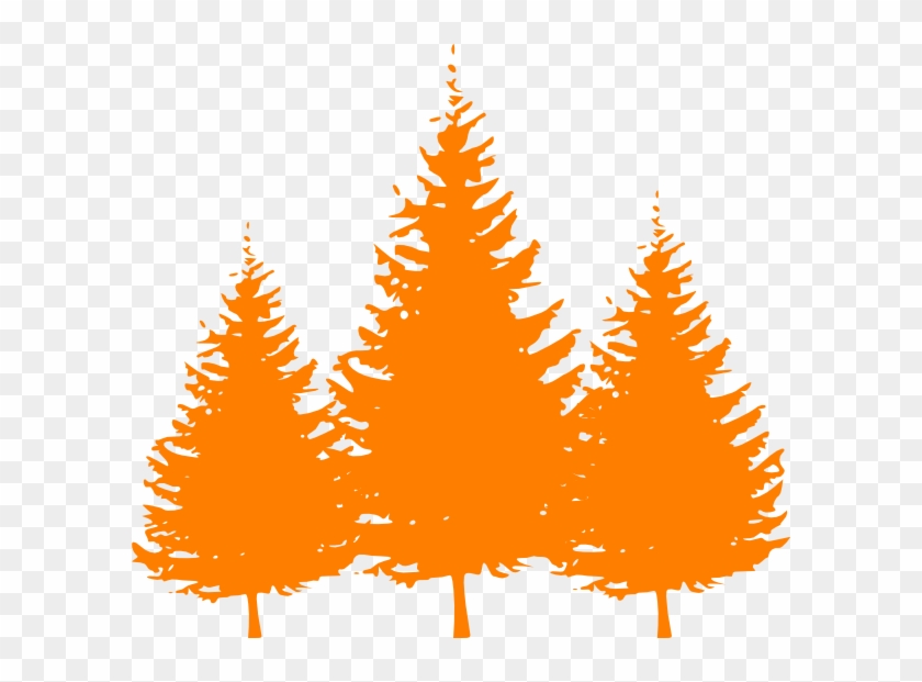 Kids Roomtreesroom - Pine Tree Silhouette Vector #353936